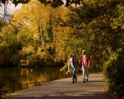 Enjoy <b>10%</b> off Dublin stays this Autumn 🍂